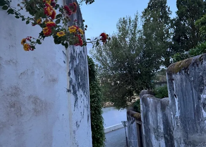 Casa Turquesa Pet-friendly, Riverfront 度假居 康斯坦西亚
