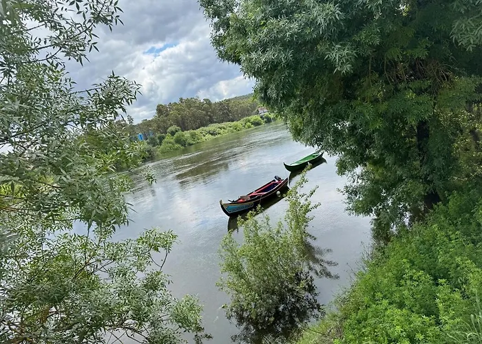 Casa Turquesa Pet-friendly, Riverfront 度假居 康斯坦西亚
